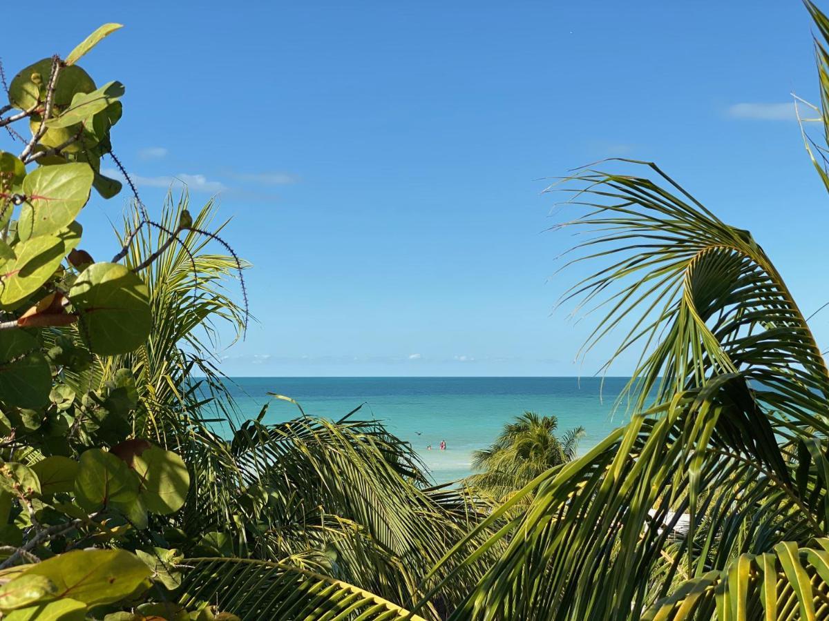 Hotel Palapas Del Sol Isola Holbox Esterno foto